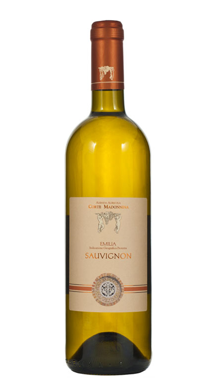 sauvignon